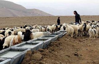 Van Büyükşehir Belediyesinden Başkaleli çiftçilere...