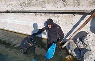 Van Gölü’nün sırları sergilenecek
