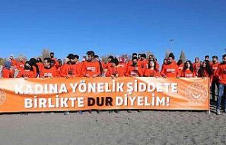 Van YYÜ’den ‘Kadına Yönelik Şiddete Dur Diyelim!’...