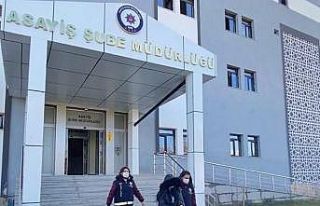 Van’da fuhuş operasyonunda yakalanan 1 şüpheli...