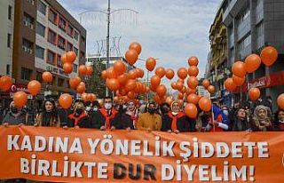 Vanlı kadınlardan yürüyüş