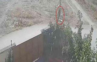 Vicdanlı hırsızlar