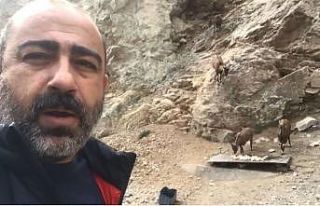 Yaban keçileriyle selfie pozu