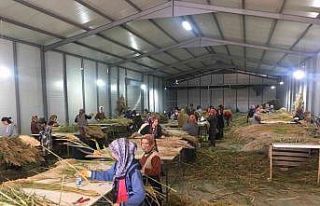 Yabani bitkiler köy kadınlarının geçim kaynağı...