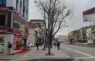 Yağmurla birleşen lodos hayatı olumsuz etkiliyor