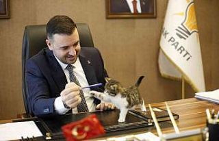 Yalova’nın en ‘Şanslı’sı