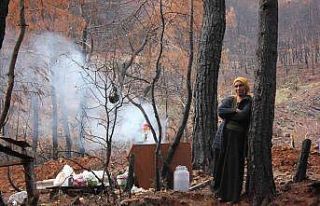 Yanan sahalarda kesim işçilerinin elektriksiz yaşam...