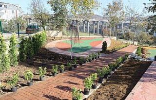 Yapımı devam eden çocuk parkı yeşilleniyor