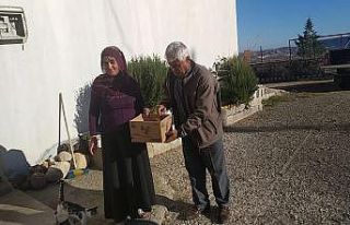 Yaralı kerkenez tedaviye alındı