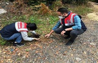Yaralı köpeğe jandarma şefkati