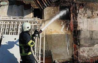 Yavru kangallar telef oldu