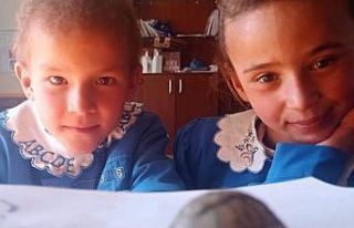 Yavru kaplumbağaya öğretmen ve öğrenciler sahip...