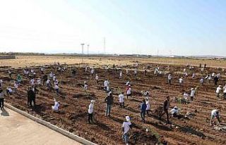Yenişehir’de 500 fidan toprakla buluştu