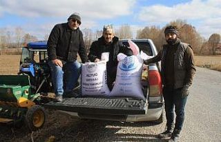 Yerli buğday toprakla buluştu