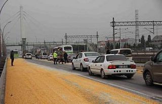 Yol mısır tarlasına döndü
