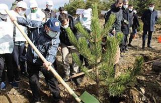 Yozgat’ta fidan dikimi gerçekleştirildi