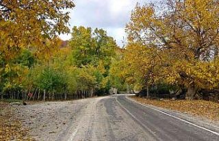 Yüksekova’da sonbahar güzelliği