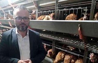 Yumurta üreticileri tedbir alınmazsa batacak