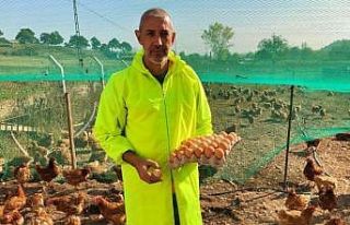 Yumurta üreticisi Bakan Pakdemirli’den destek istiyor