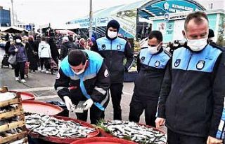 Zabıtadan balıkçılara boy denetimi