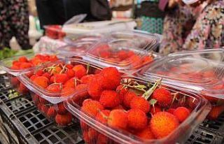 Zahmetle toplanan dağ çilekleri, tezgahlarda yerini...