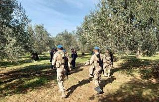 Zeytinliklere komando koruması