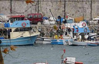 Zonguldak’ta şiddetli rüzgar etkisini sürdürüyor