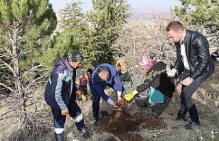 10 Bin fidan toprakla buluşuyor