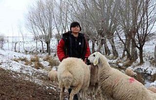 11 yaşındaki çoban dondurucu soğukta sürü güdüyor