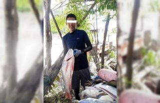 14 yaşındaki çocuk kolunu ısıran köpekbalığının...