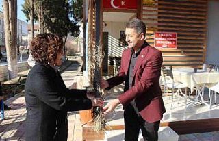 1 milyon adet orman ağacı fidanı toprakla buluşacak