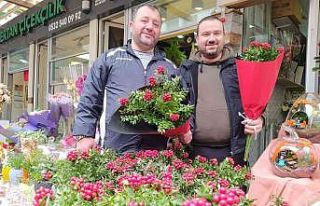 25 liraya ev sahibi olmak için çiçekçiye akın...
