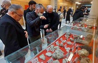 28 bin yıllık mamut parçaları Tekirdağ’da
