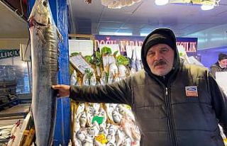 2 bin liraya satılan 1 buçuk metrelik kılıç balığı...