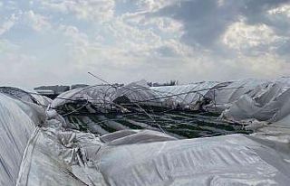 2 gün sonra hasat yapılacak seralar, fırtınada...