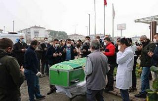 42 yaşındaki diş hekimi koronaya yenildi