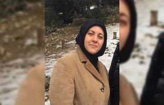 4 günlük yaşam mücadelesi kaydetti, organları...