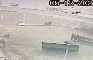 4 kişinin öldüğü kaza kamerada