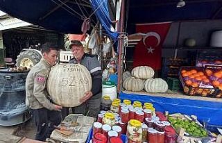 52 kiloluk dev kabak görenleri şaşırtıyor