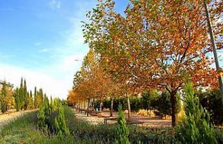 7 Aralık Üniversitesi Greenmetric Dünya Üniversiteleri...