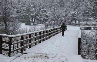 Abant Tabiat Parkı beyaz örtüyle kaplandı