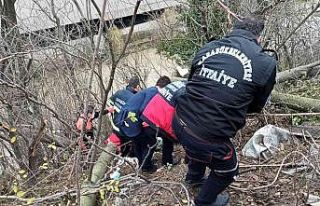 Ağaç keserken uçuruma yuvarlandı