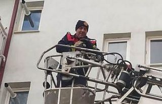 Ağaçta mahsur kalan kediyi itfaiye kurtardı