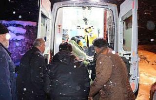 Ağrı’da ulaşıma kapanan köyde hastalanan 92...
