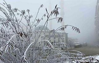 Ağrı’da yoğun sis etkili oldu