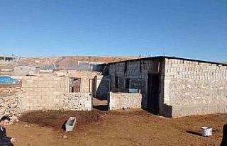 Ahırda çıkan yangında 12 hayvan telef oldu