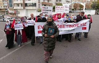 Aileler direniyor sayıları artıyor, 247. aile de...