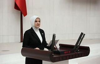 AK Parti Elazığ Milletvekili Balık muhalefete yüklendi