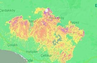 Akdeniz Üniversitesi öğretim üyesinden orman gözlemleri...