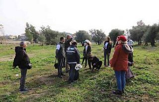 Alternatif tarım ürünleri expo ile tanıtılıyor